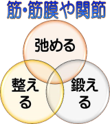 整体,指圧,筋膜,経絡,ほぐしや,東御市,上田市,小諸市,佐久市,千曲市,立科,長和